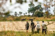 10 days Selous and beach Zanzibar