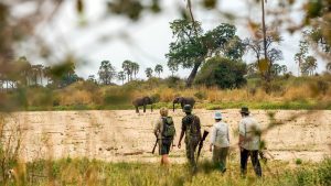 10 days Selous and beach Zanzibar