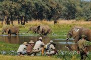 10 days Southern Tanzania safari walking