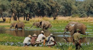 10 days Southern Tanzania safari walking