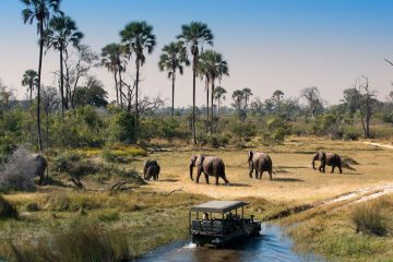 10 days safari Nyerere National Park and Zanzibar