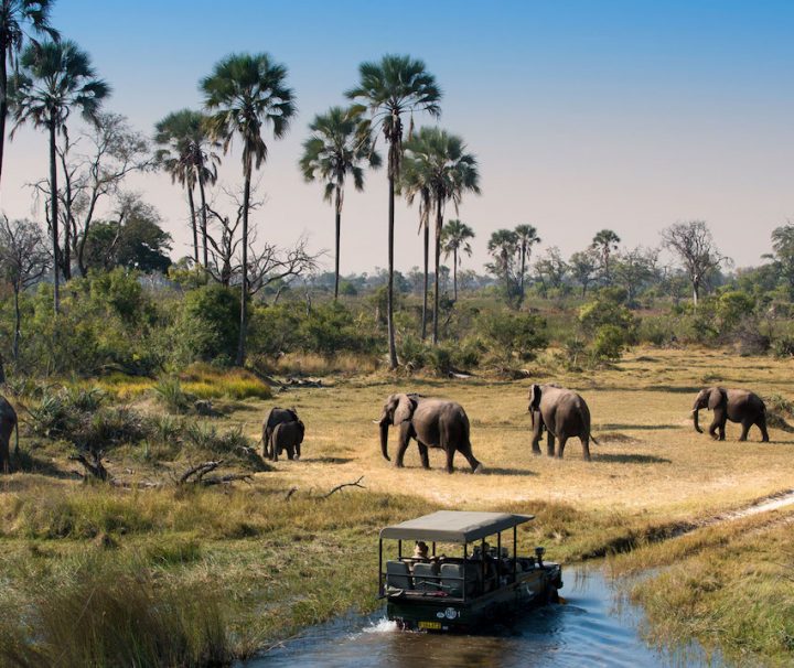 10 days safari Nyerere National Park and Zanzibar
