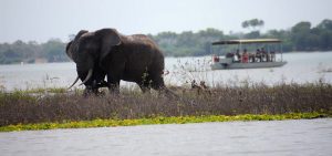 10 days Selous safari Zanzibar