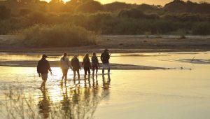 Walking Safari Ruaha Southern Tanzania