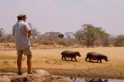 7 days Southern Tanzania safari Mikumi Ruaha