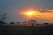 7 days Southern Tanzania safari Sunset Mikumi