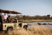 Katavi National Park safari