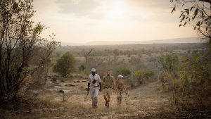 guided walking safari Selous