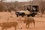 Southern Tanzania safari Selous