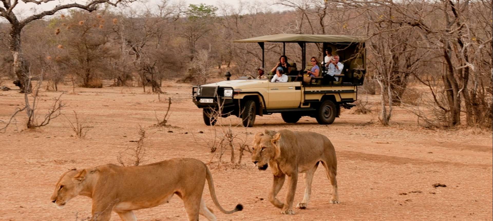 safari southern tanzania