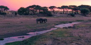 Compare Northern Southern Tanzania safari