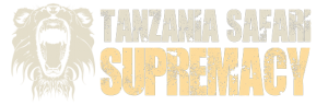 Southern Tanzania safari logo