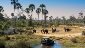 3 day Dar es Salaam to Nyerere National Park