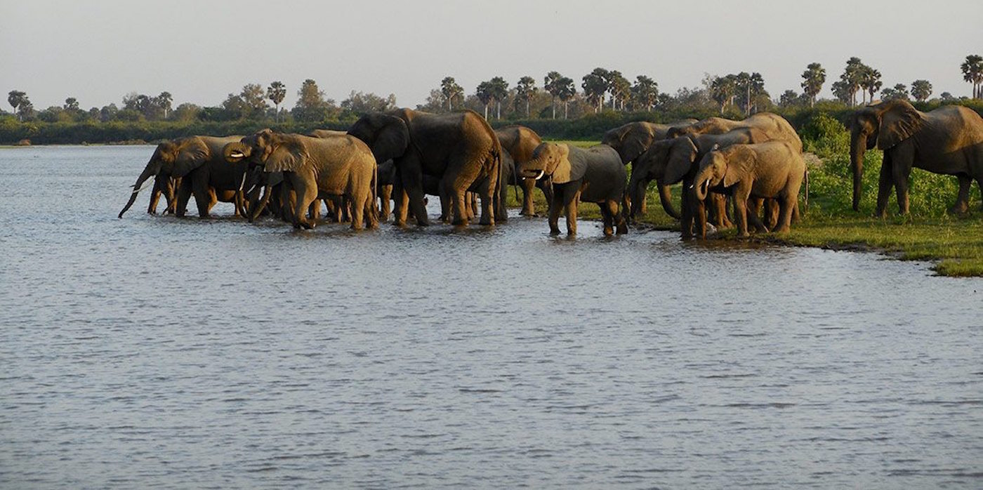 3-Days  Safari Selous Game Reserve (Nyerere National Park)
