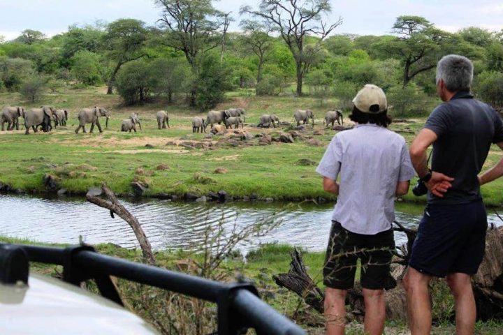 3 days selous safari Tanzania