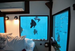 Manta Resort under water room