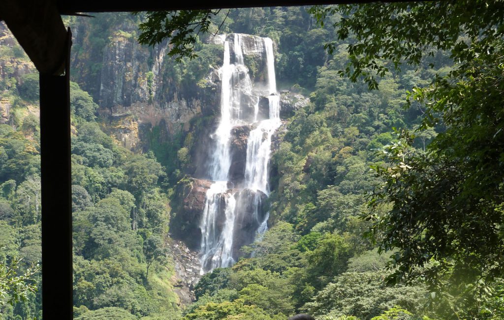 Udzungwa National Park Tanzania