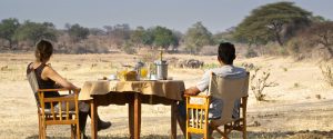 Southern Tanzania Safaris