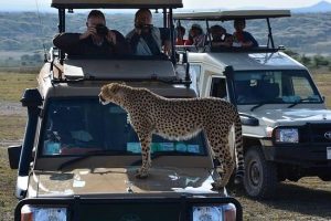 3 days Tanzania safari