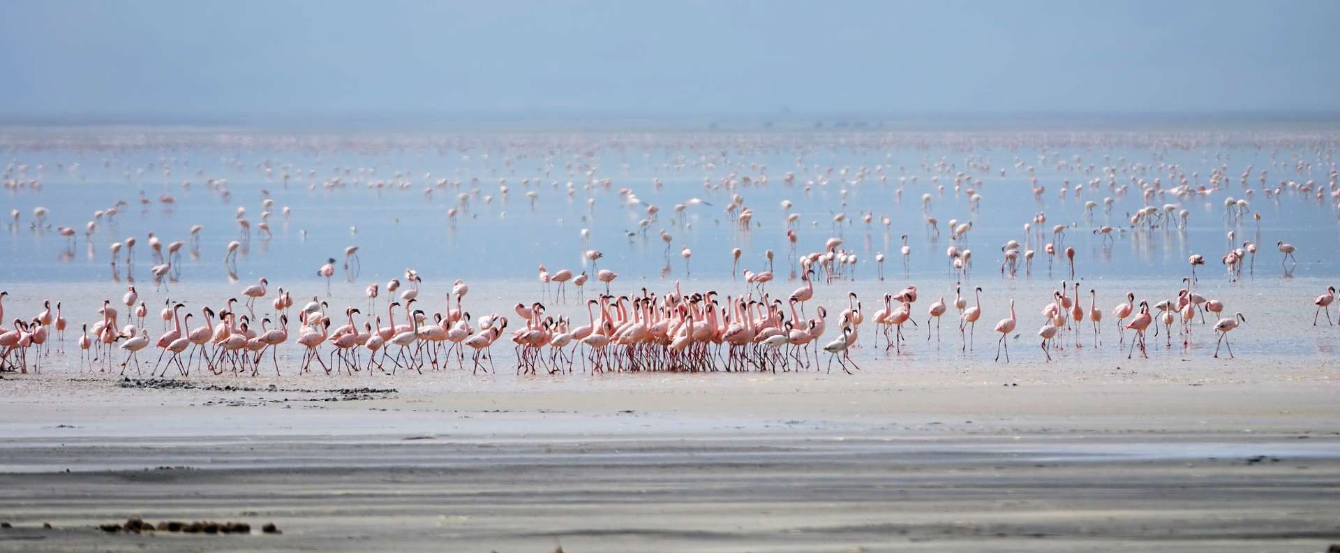 Lake Manyara National Park, Tanzania