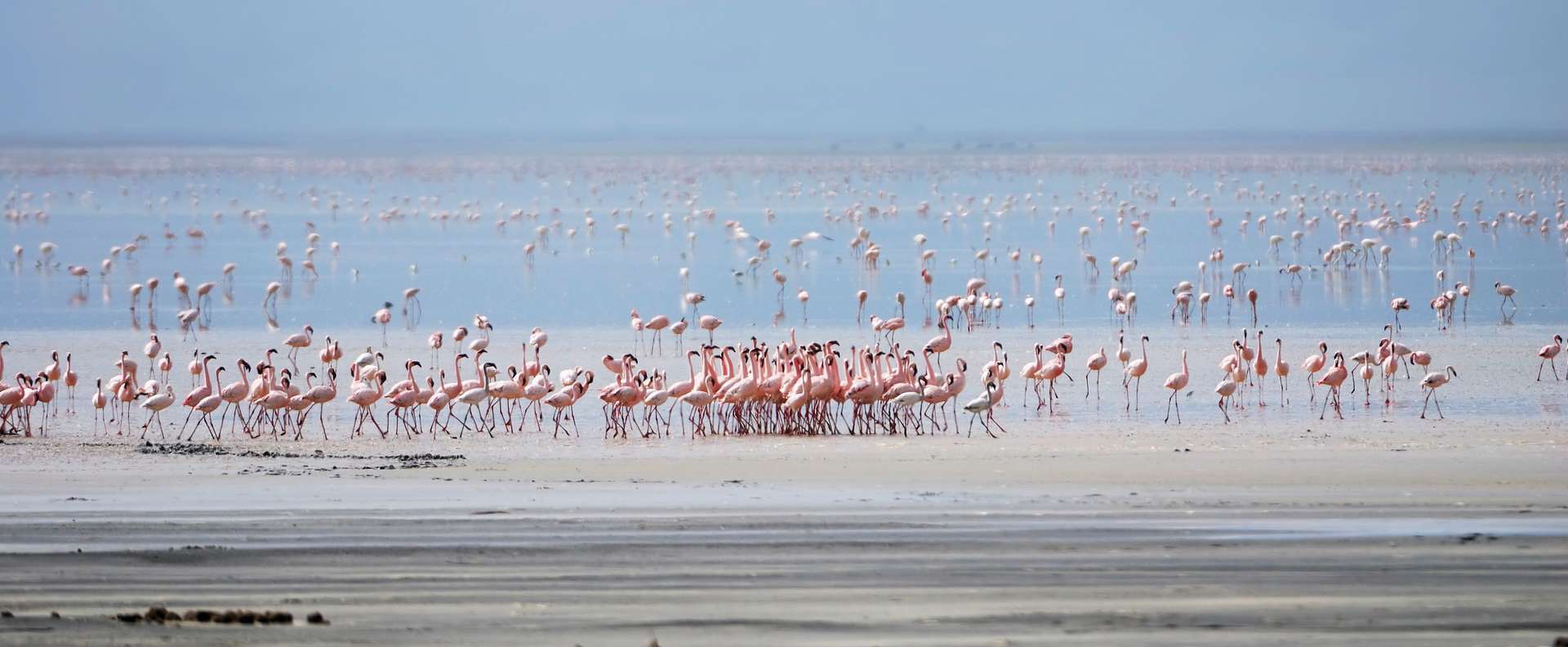 Lake Manyara National Park, Tanzania