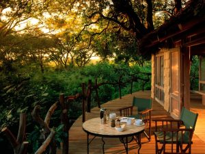 Lake Manyara Treelodge