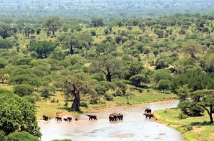 Tarangire National Park