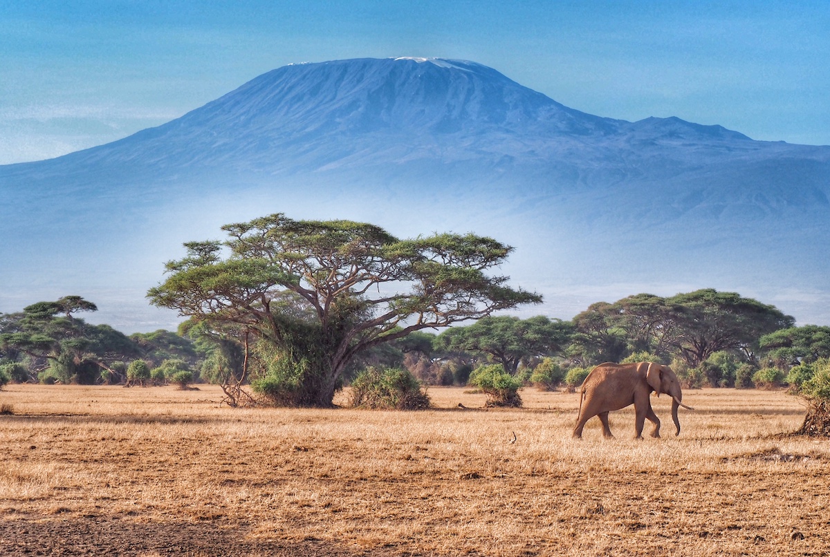 Kenya parks vs Tanzania parks