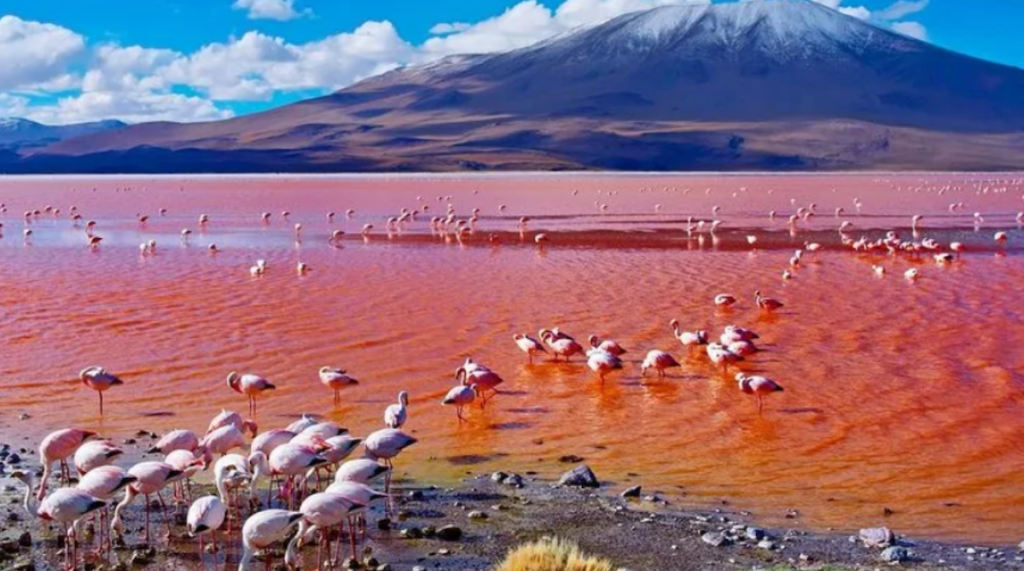 Lake Natron Tanzania