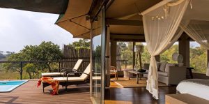 Wildebeests migration luxury lodge