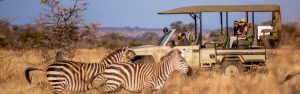 01-Day-safari-from-Zanzibar-Nyerere-National-Park