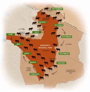 Serengeti Wildebeests Migration Map