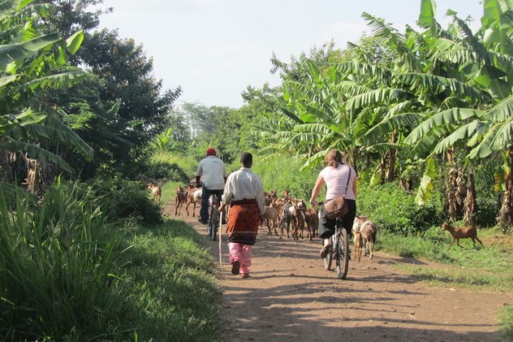 Biking tours at Mto wa Mbu