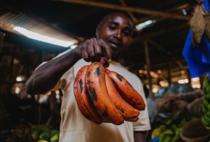 Red bananas at Mto wa Mbu Market