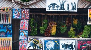 Bananas and Tinga Tinga