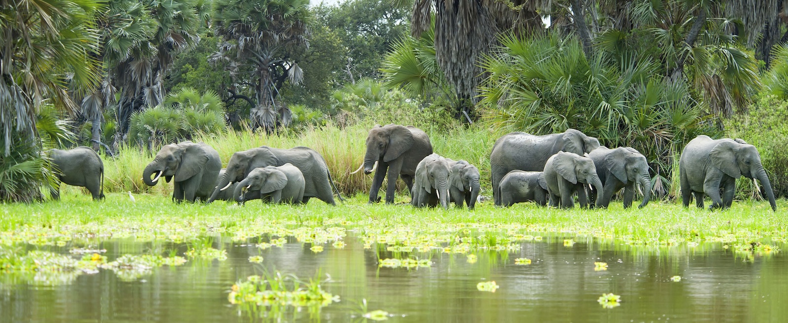 Southern Tanzania National Parks