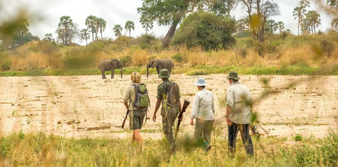 Southern Tanzania Parks Ruaha
